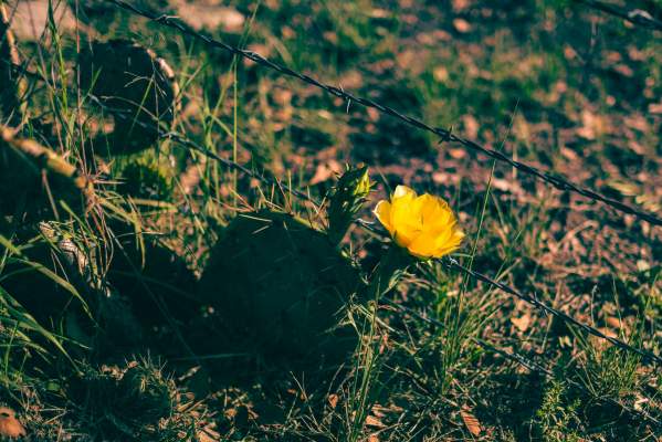 a shot with the lovely xf 23mm f1.4 lens