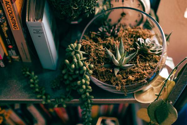 a shot with the lovely xf 23mm f1.4 lens