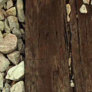 Gallery Photo 6