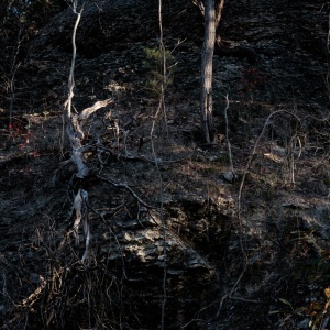 Gallery Photo 6