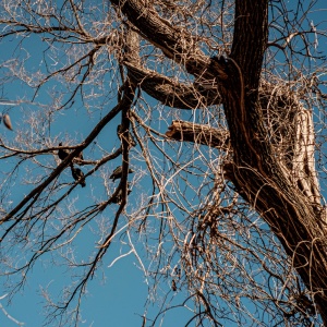 Gallery Photo 0