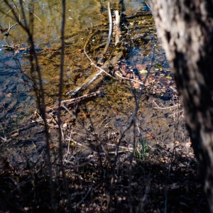 Gallery Photo 8