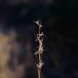Gallery Photo 21