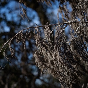 Gallery Photo 22