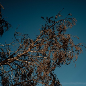 Gallery Photo 23