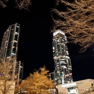 Gallery Photo 6