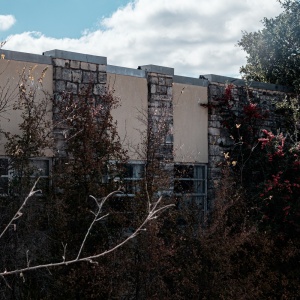 Gallery Photo 2