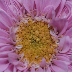 Gallery Photo 1