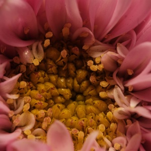 Gallery Photo 4