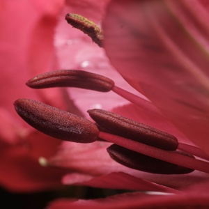 Gallery Photo 6