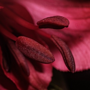 Gallery Photo 14