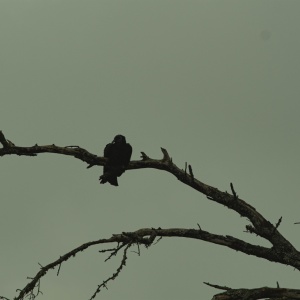 Gallery Photo 6