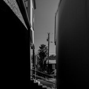 Gallery Photo 5