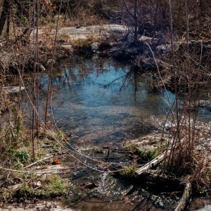 Gallery Photo 7