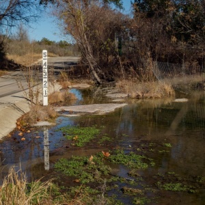 Gallery Photo 11