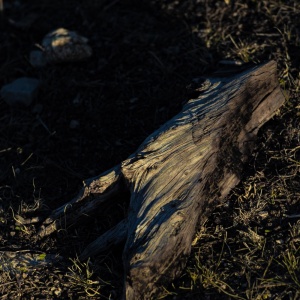 Gallery Photo 5