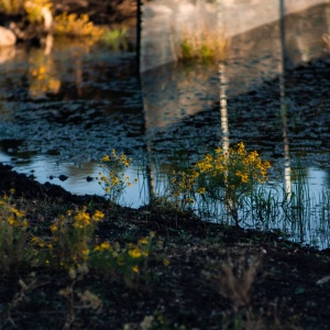 Gallery Photo 7