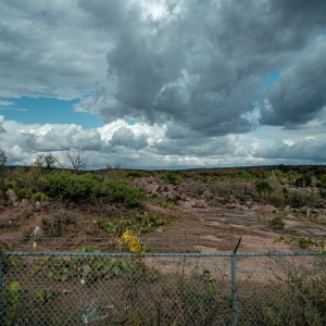 Gallery Photo 4