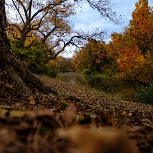 Gallery Photo 15