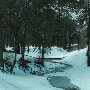 Gallery Photo 3