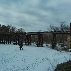 Gallery Photo 18
