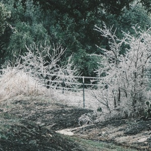 Gallery Photo 6