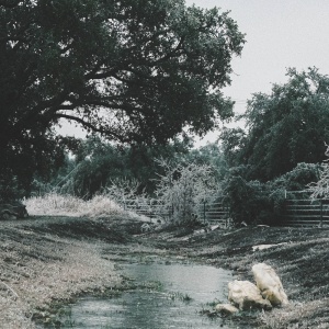Gallery Photo 7