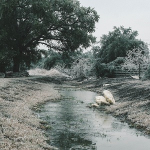 Gallery Photo 8