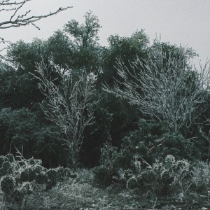 Gallery Photo 10
