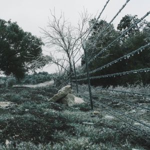 Gallery Photo 11