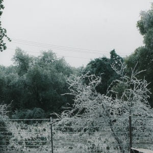 Gallery Photo 14