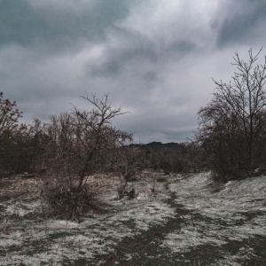 Gallery Photo 18